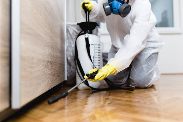 Best Ant Control Services  in Drexel, OH
