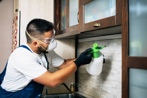 Best Best Pest Control Companies  in Drexel, OH