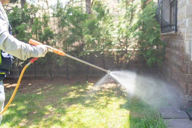 Best Best Pest Control Companies  in Drexel, OH