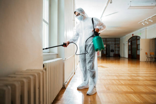 Best Insect Control  in Drexel, OH